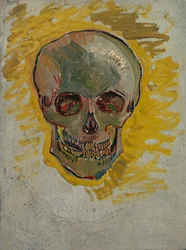 Czaszka